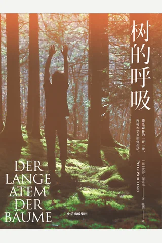 《树的呼吸》 封面