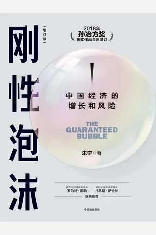 刚性泡沫（增订版）：中国经济的增长和风险 封面