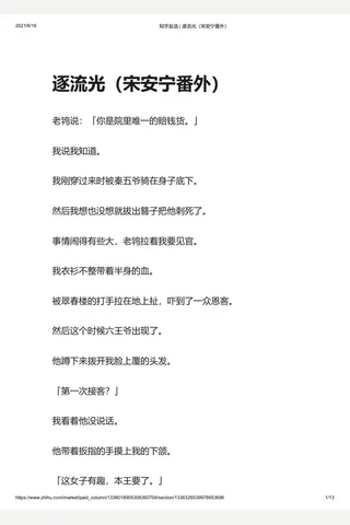 知乎盐选 逐流光 封面
