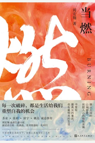 《当燃》【豆瓣评分8 封面