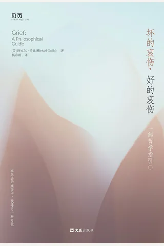 坏的哀伤，好的哀伤：一部哲学指引 封面