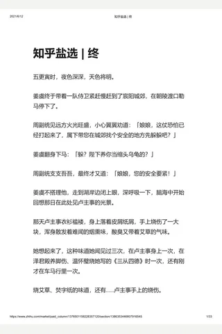 知乎盐选 终 封面