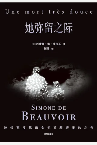 她弥留之际 封面