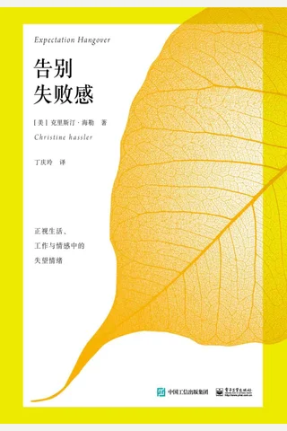 告别失败感：正视工作、情感与生活中的失望情绪 封面