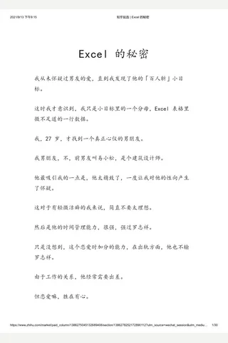 知乎盐选 Excel 的秘密 封面