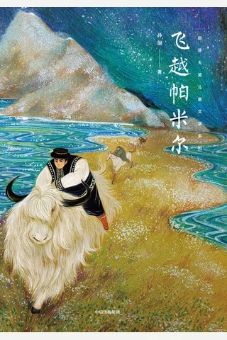 飞越帕米尔 封面