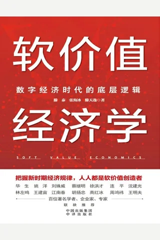 软价值经济学：数字经济时代的底层逻辑 封面