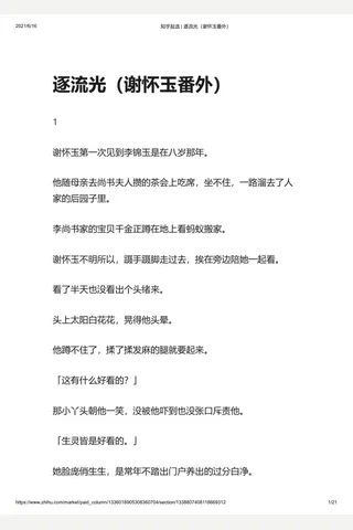 知乎盐选 逐流光 封面