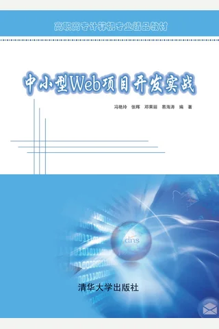 中小型Web项目开发实战 封面