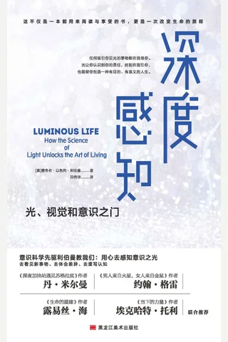 《深度感知》 封面