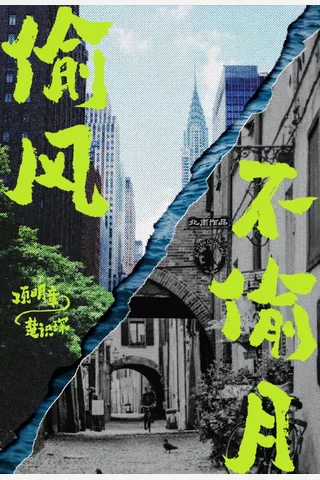 《偷风不偷月》【豆瓣评分8.0】 封面