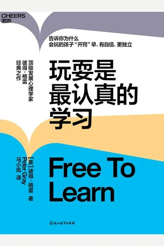 玩耍是最认真的学习 封面