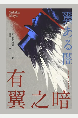 有翼之暗 封面
