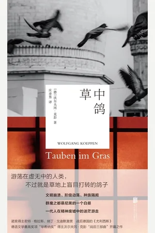 草中鸽 封面