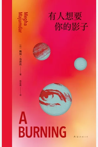 《有人想要你的影子》【豆瓣评分8.1】 封面