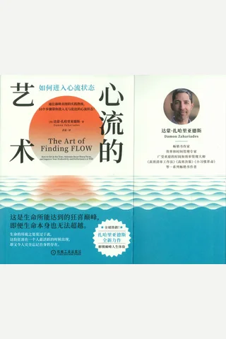 《心流的艺术》【豆瓣评分8.2】 封面