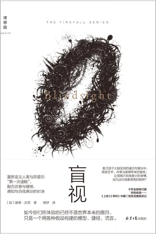 盲视 封面