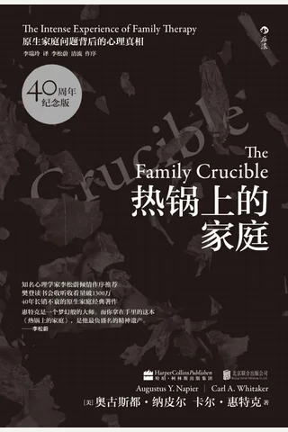 热锅上的家庭： 家庭问题背后的心理真相 封面