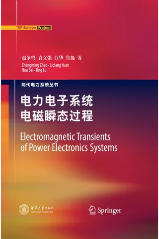 电力电子系统电磁瞬态过程 封面