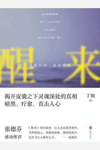 醒来 封面