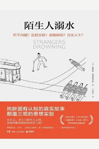 陌生人溺水--拉里莎·麦克法夸尔 封面