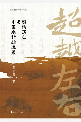 超越左右：实践历史与中国农村的发展 封面