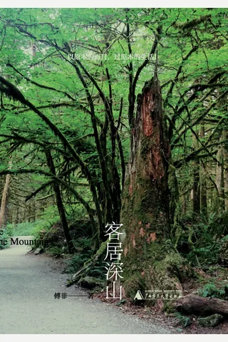 《客居深山》 封面