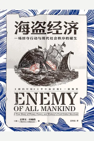 《海盗经济》 封面