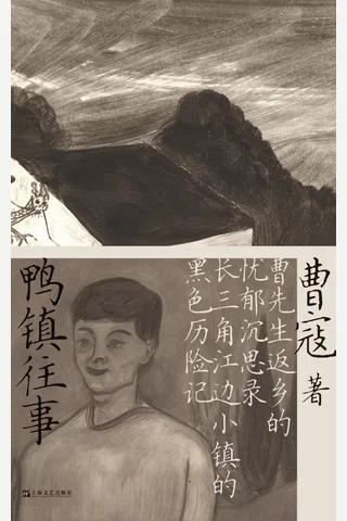 鸭镇往事 封面