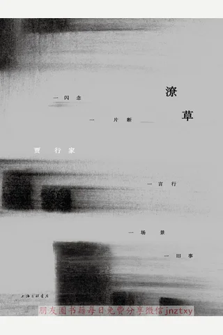 《潦草》-贾行家 封面