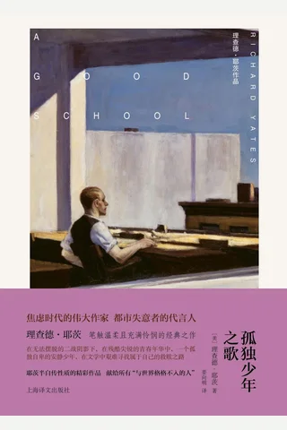 《孤独少年之歌》【豆瓣评分7.0】 封面