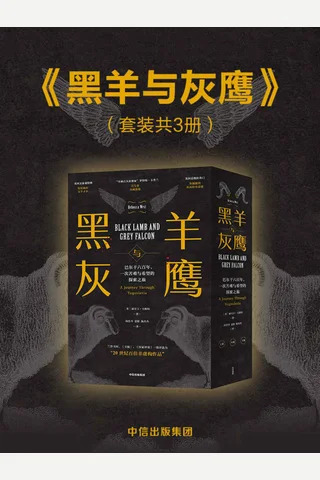 《黑羊与灰鹰》套装3册 封面
