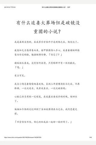 有什么追妻火葬场但是破镜没重圆的小说？ - 知乎 封面