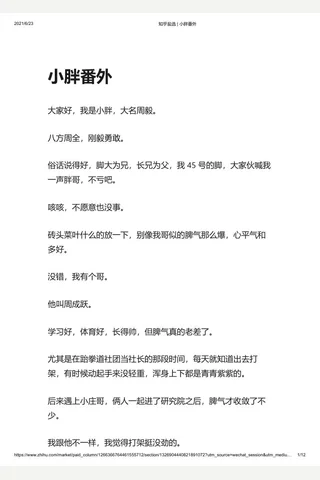 知乎盐选 小胖番外 封面