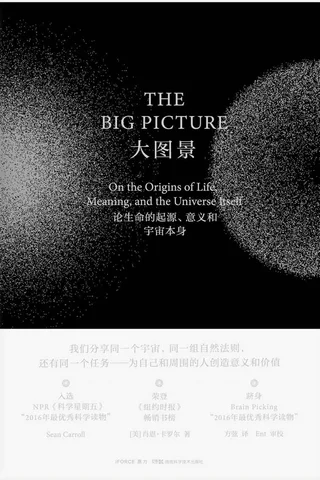 《大图景》论生命的起源、意义和宇宙本身 封面
