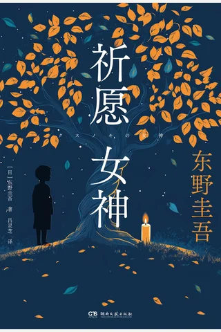 《祈愿女神》【豆瓣评分8.2】 封面