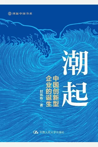 潮起：中国创新型企业的诞生 封面