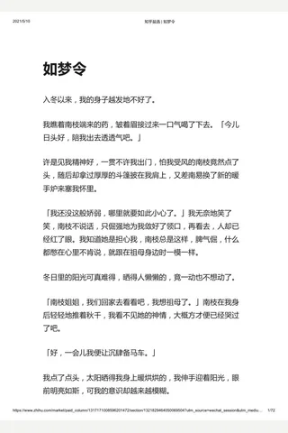 知乎盐选 如梦令 封面