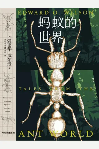 《蚂蚁的世界》 封面