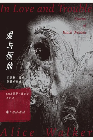 爱与烦恼：艾丽斯·沃克短篇小说集 封面