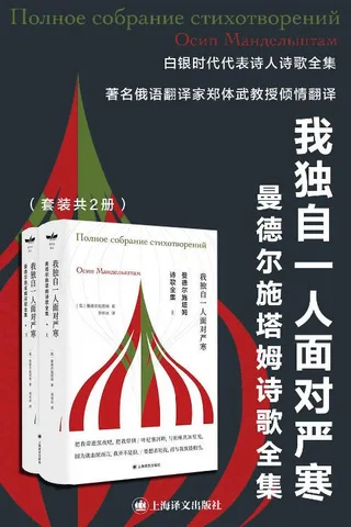 曼德尔施塔姆诗歌全集（上、下册）【上海译文出品！“我独自一人面对严寒”，白银时代代表诗人，布罗茨基激赏】 封面