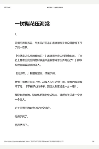 知乎盐选 一树梨花压海棠 封面