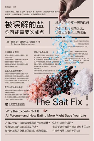 《被误解的盐》 封面