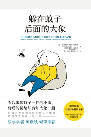 躲在蚊子后面的大象 封面
