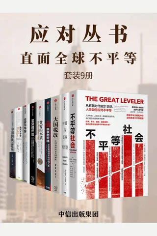 应对丛书：直面全球不平等 封面