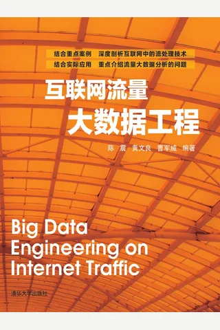 互联网流量大数据工程 封面