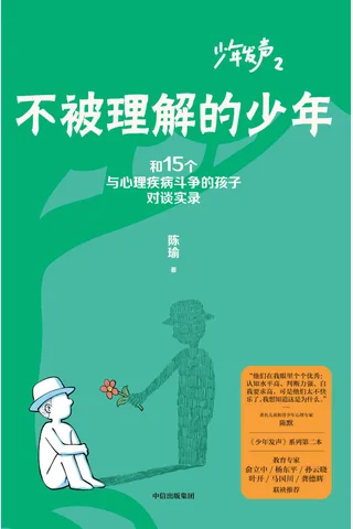 《不被理解的少年》 封面