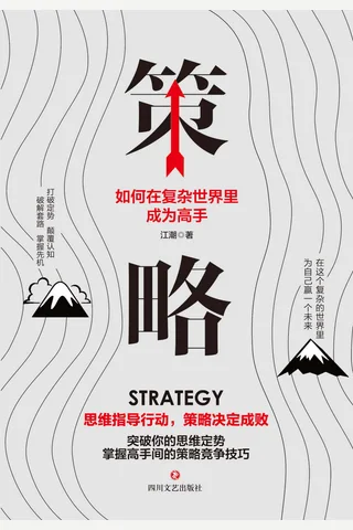 《策略：如何在复杂的世界里成为高手》 封面