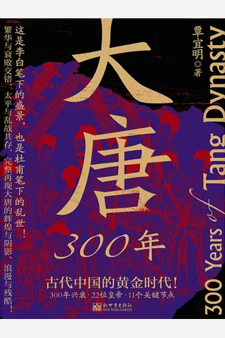 大唐300年 封面