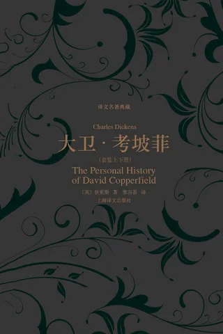 大卫·考坡菲 封面